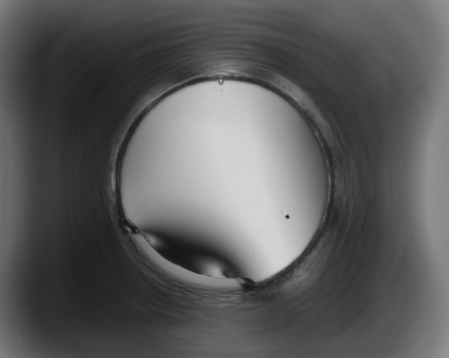 X0000087541234200705251713