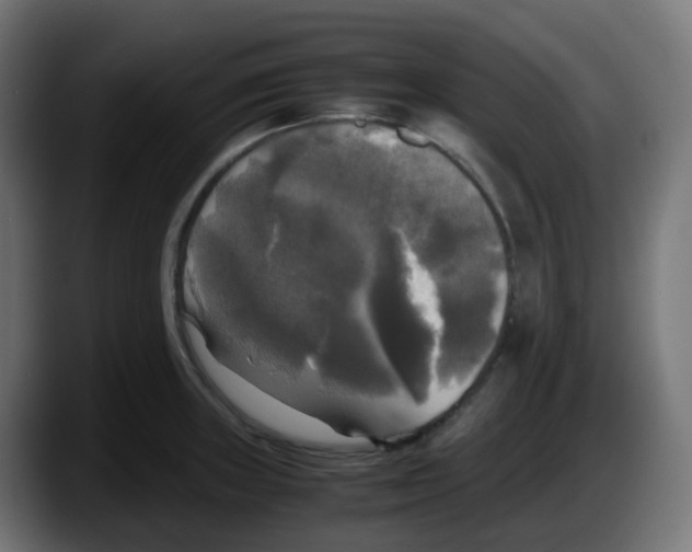 X0000087541235200705251713