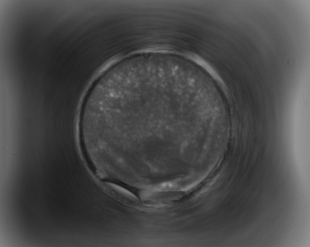 X0000087541237200705251713