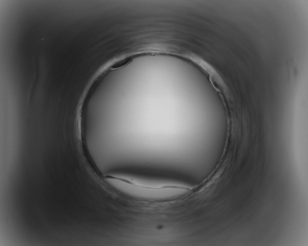 X0000087541238200705251713