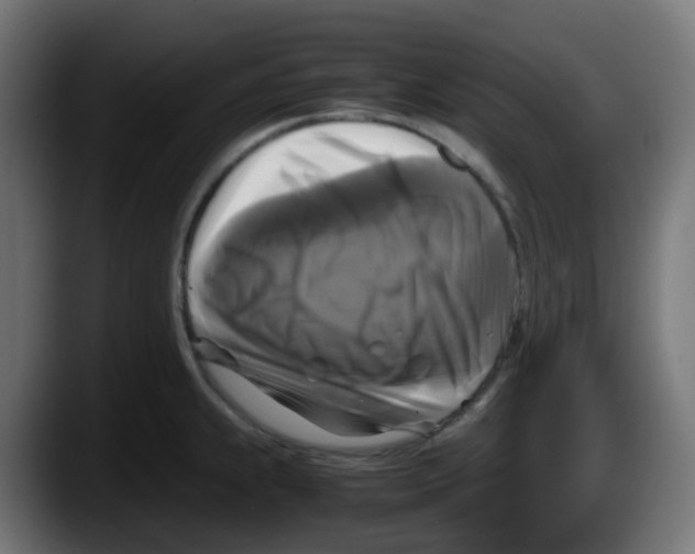 X0000087541239200705251713