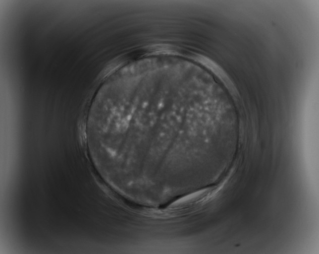 X0000087541241200705251713