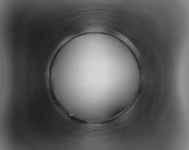 X0000087541242200705251713