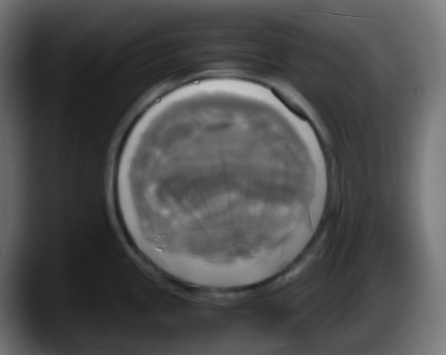 X0000087541245200705251713