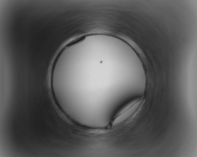 X0000087541246200705251713