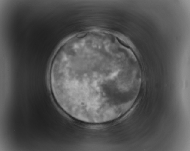 X0000087541247200705251713