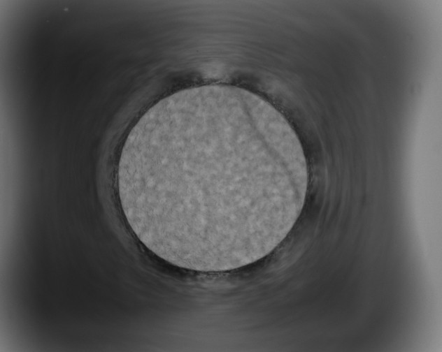 X0000087541249200705251713