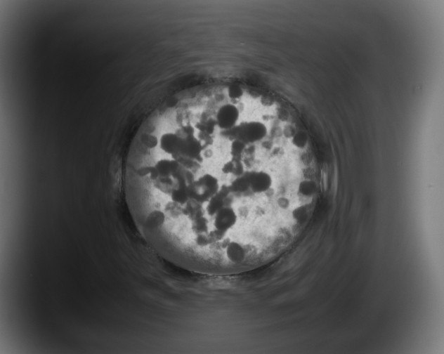 X0000087541251200705251713