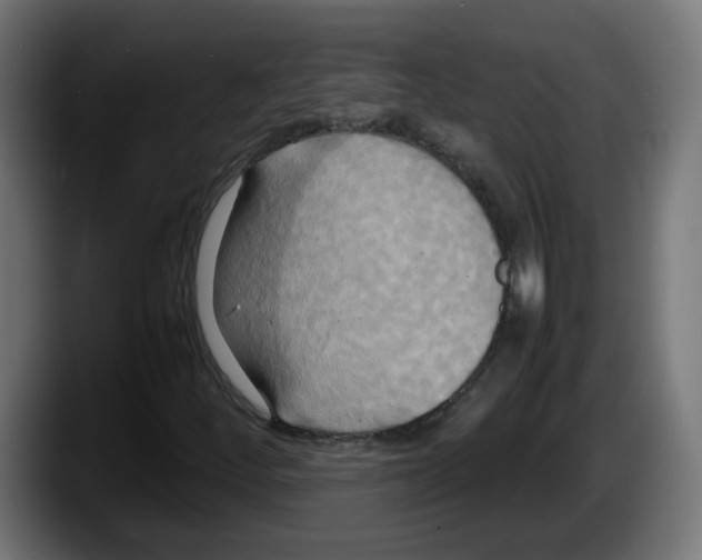 X0000087541252200705251713