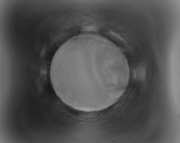 X0000087541254200705251713