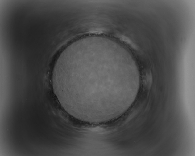 X0000087541256200705251713