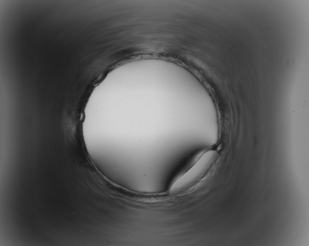 X0000087541257200705251713