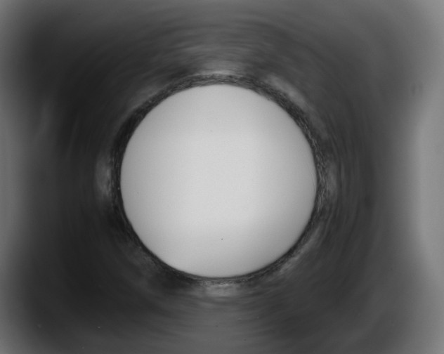 X0000087541258200705251713