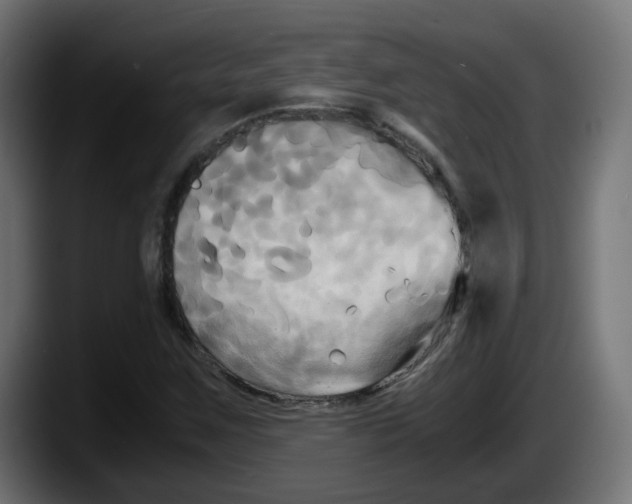 X0000087541259200705251713