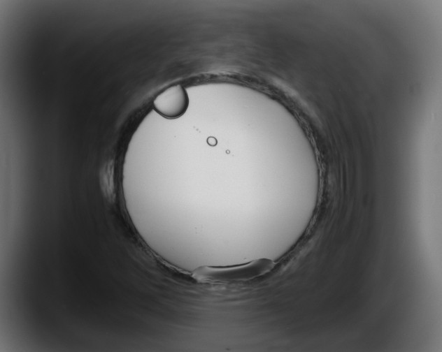 X0000087541262200705251712