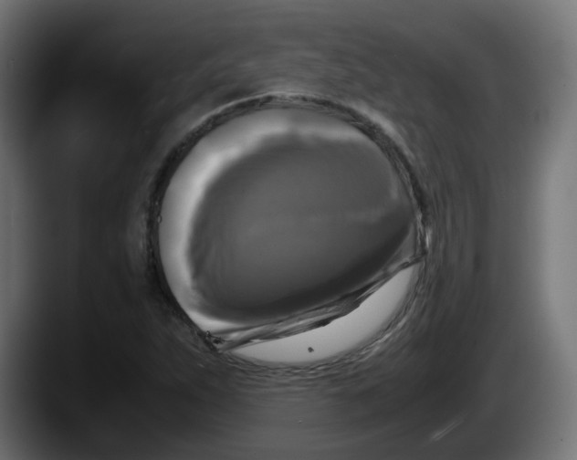 X0000087541263200705251712