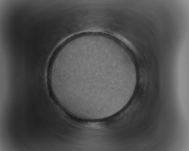 X0000087541264200705251712