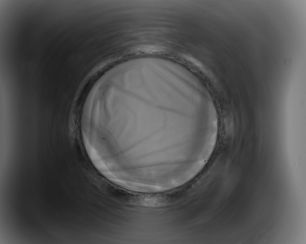 X0000087541266200705251712