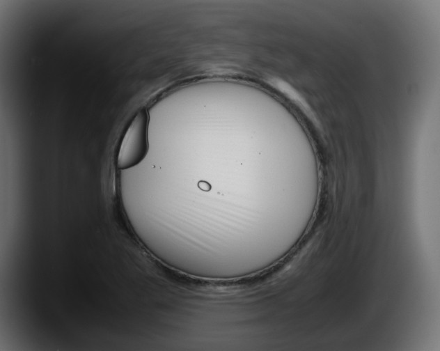 X0000087541269200705251712