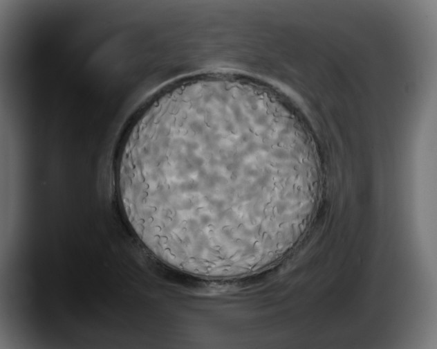 X0000087541271200705251712