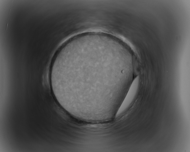 X0000087541272200705251712