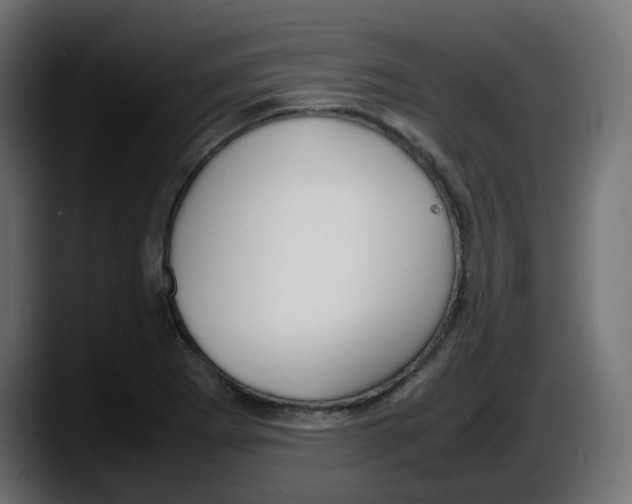 X0000087541273200705251712