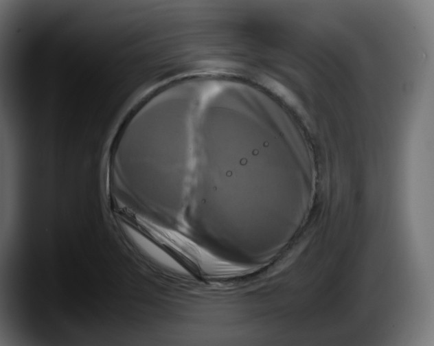 X0000087541275200705251712