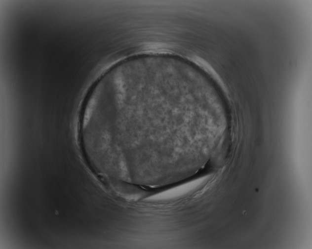 X0000087541277200705251712