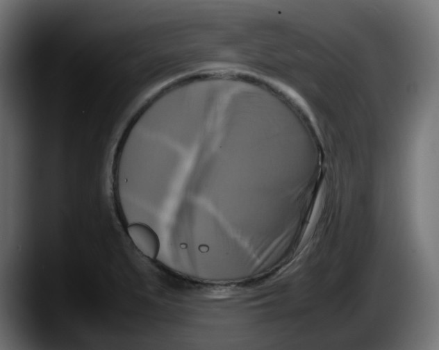 X0000087541279200705251712