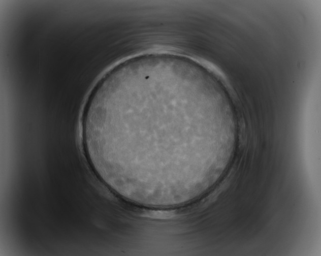 X0000087541280200705251712