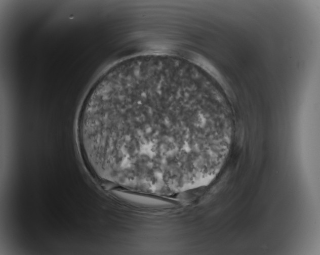 X0000087541283200705251712