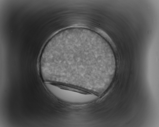 X0000087541284200705251712