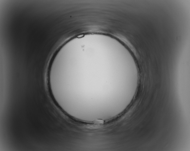 X0000087541285200705251712