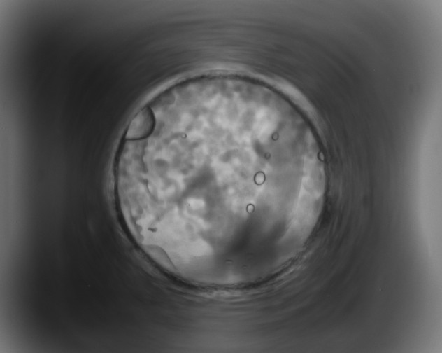 X0000087541287200705251712