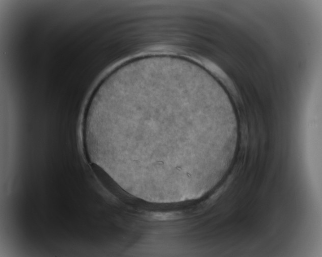 X0000087541288200705251712