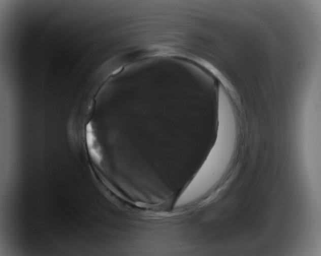 X0000087541289200705251712