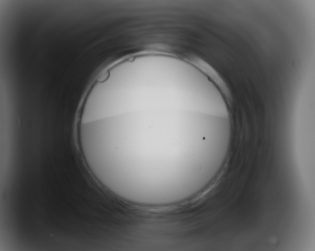 X0000087541292200705251712