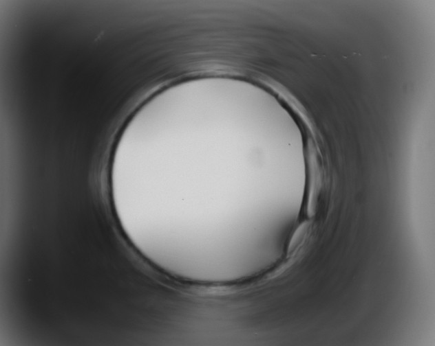 X0000087541293200705251712