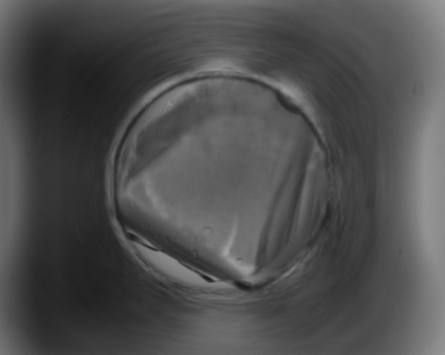 X0000087541295200705251712