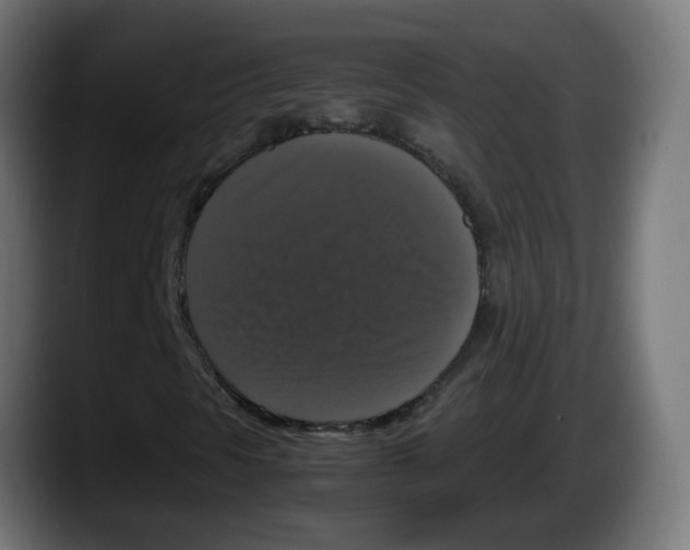 X0000087541297200705251711