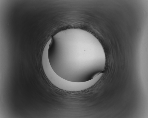 X0000087541298200705251711