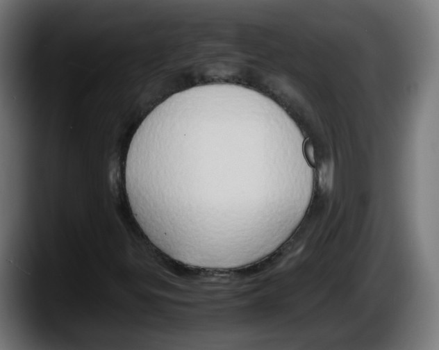 X0000087541299200705251711