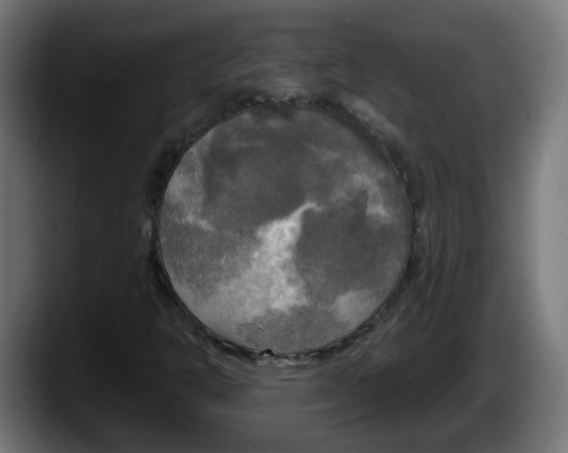 X0000087541302200705251711