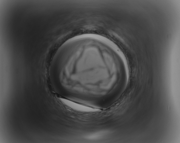 X0000087541303200705251711