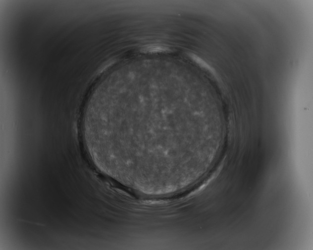 X0000087541305200705251712