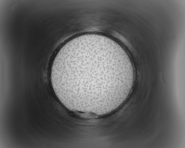 X0000087541308200705251712