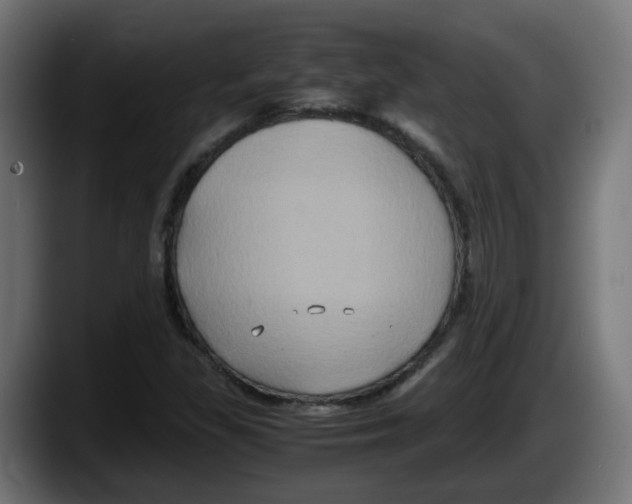 X0000087541309200705251712