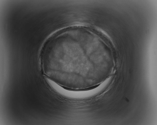 X0000087541310200705251712