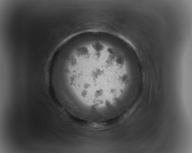 X0000087541311200705251712