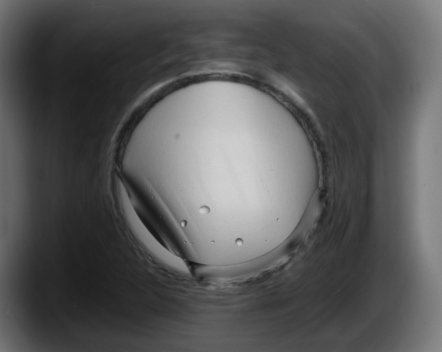 X0000087541312200705251712